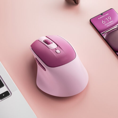 Office & Gaming Peripherals